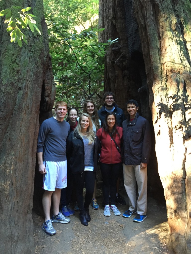 MuirWoods_California